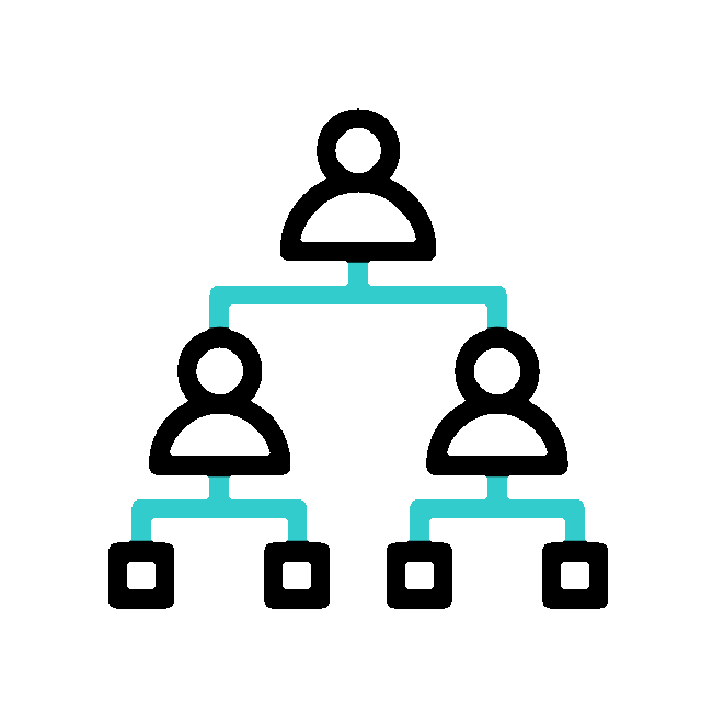 Course Structure
